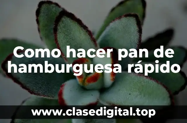 Como hacer pan de hamburguesa rápido