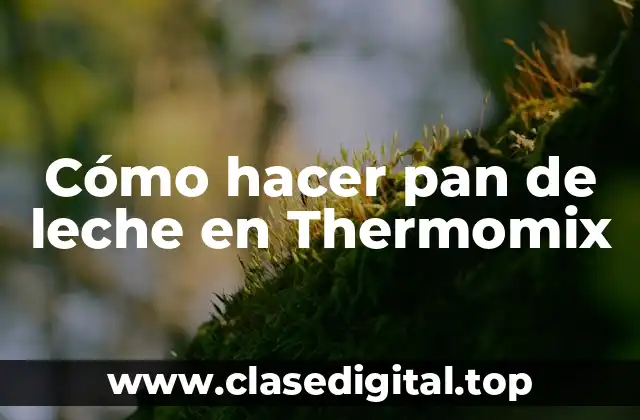 Cómo hacer pan de leche en Thermomix