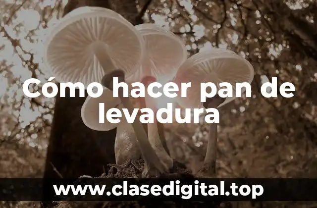 Cómo hacer pan de levadura