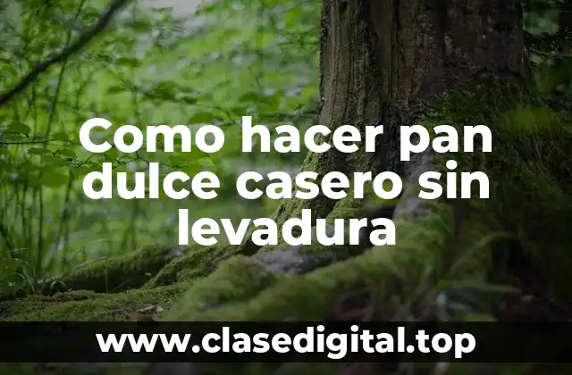Como hacer pan dulce casero sin levadura