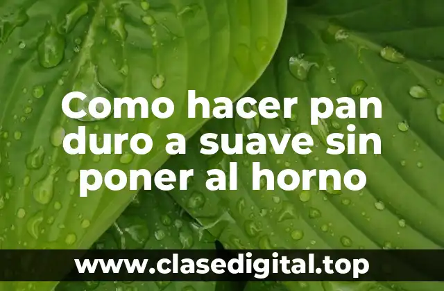 Como hacer pan duro a suave sin poner al horno