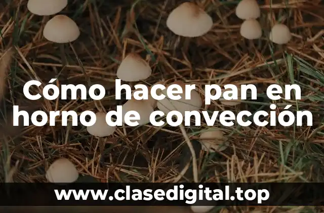 Cómo hacer pan en horno de convección