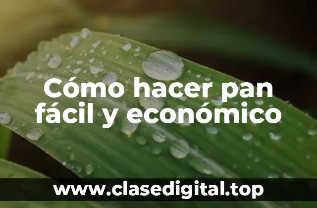 Cómo hacer pan fácil y económico