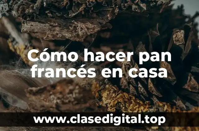 Cómo hacer pan francés en casa