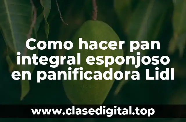 Como hacer pan integral esponjoso en panificadora Lidl