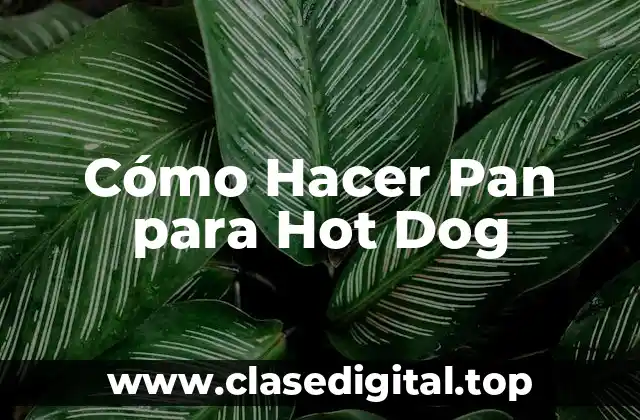 Cómo Hacer Pan para Hot Dog