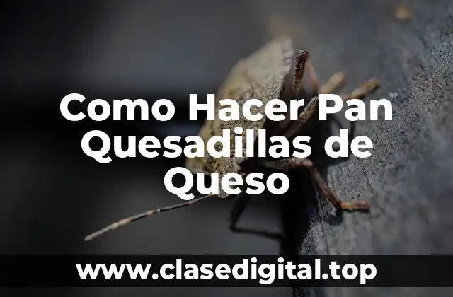 ¿Qué son las Quesadillas de Queso con Pan?