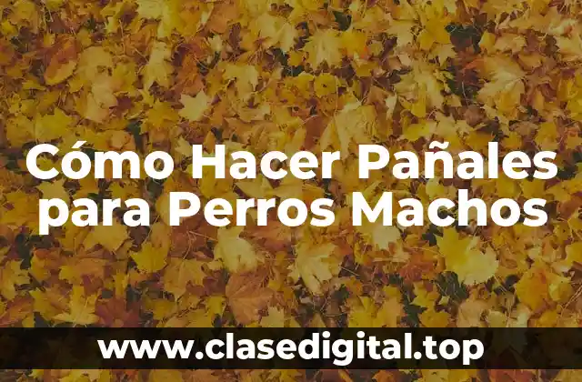 Cómo Hacer Pañales para Perros Machos