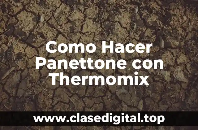 Como Hacer Panettone con Thermomix