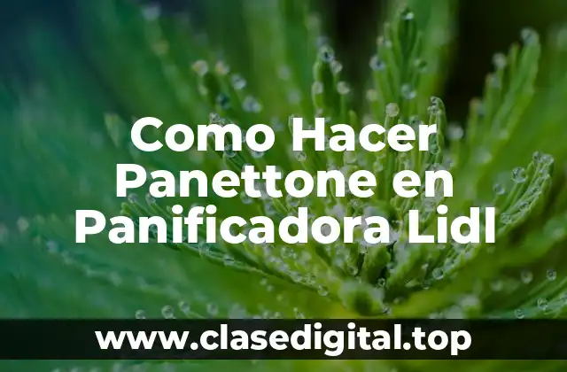 Como Hacer Panettone en Panificadora Lidl