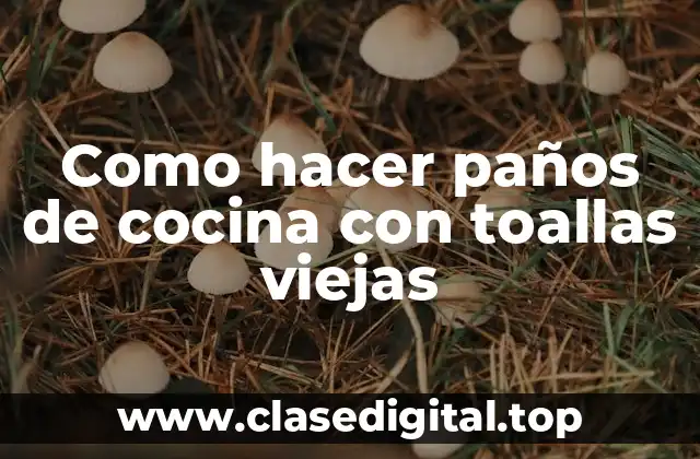 Como hacer paños de cocina con toallas viejas