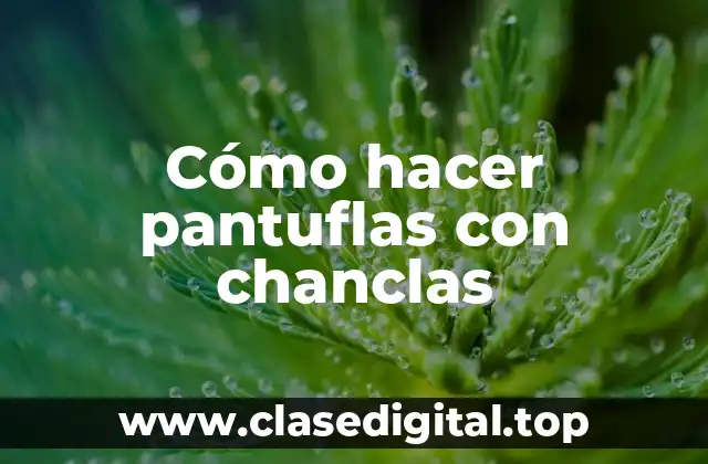 Cómo hacer pantuflas con chanclas