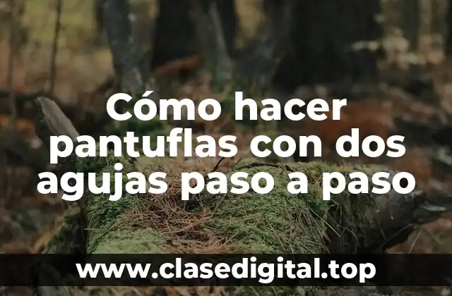 Cómo hacer pantuflas con dos agujas paso a paso