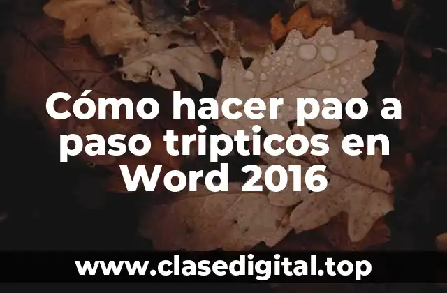 Cómo hacer pao a paso tripticos en Word 2016