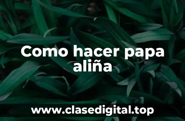 Como hacer papa aliña