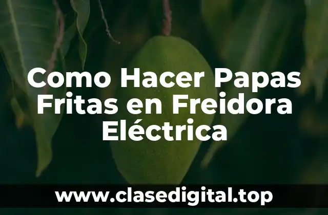 Como Hacer Papas Fritas en Freidora Eléctrica