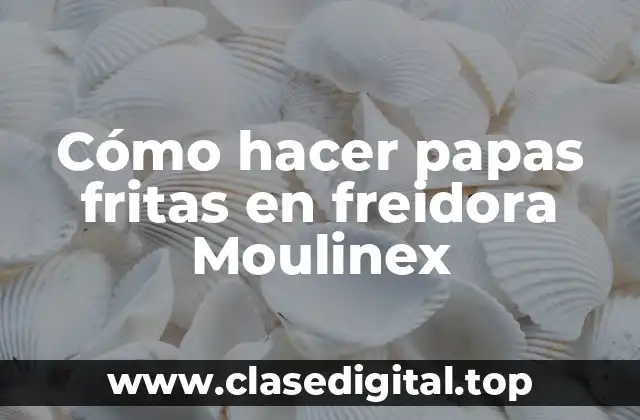 Cómo hacer papas fritas en freidora Moulinex