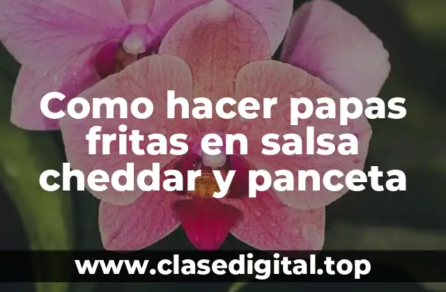 Papas fritas en salsa cheddar y panceta