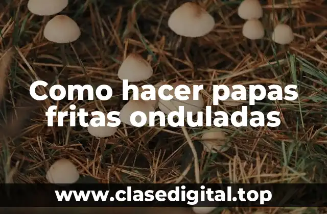 Como hacer papas fritas onduladas