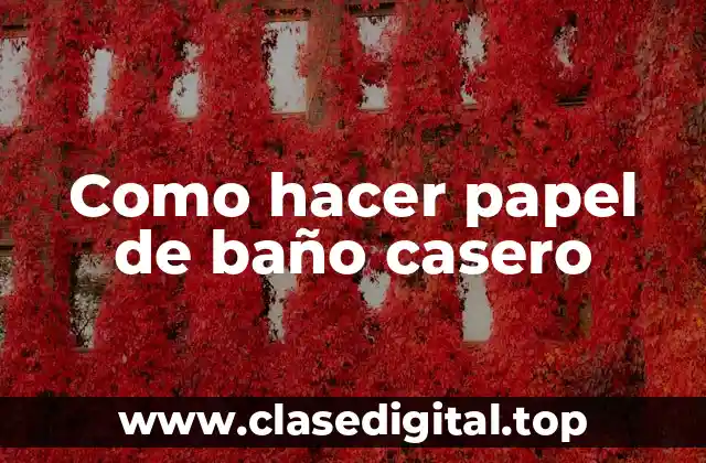 ¿Qué es el papel de baño casero?