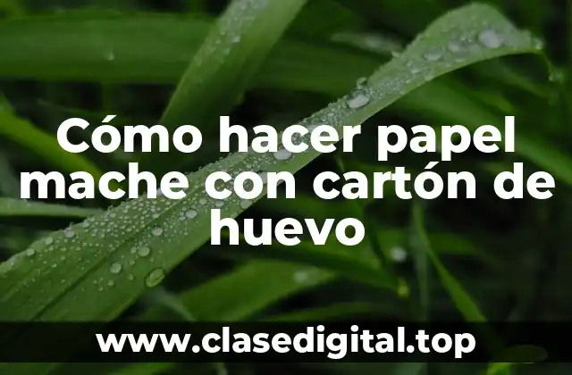 Cómo hacer papel mache con cartón de huevo