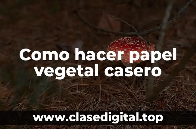 ¿Qué es el papel vegetal casero y para qué sirve?