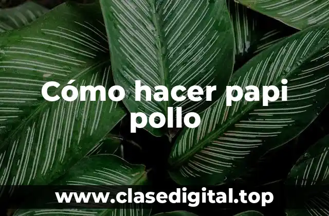 Cómo hacer papi pollo
