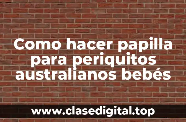 Como hacer papilla para periquitos australianos bebés