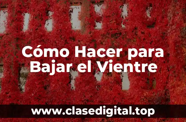 Cómo Hacer para Bajar el Vientre