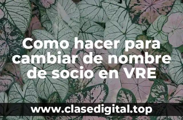 ¿Qué es cambiar de nombre de socio en VRE?