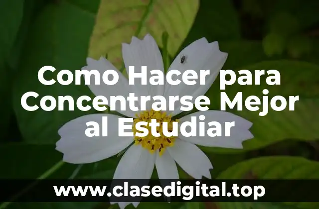 Como Hacer para Concentrarse Mejor al Estudiar
