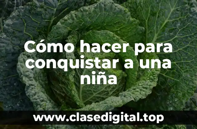 Cómo hacer para conquistar a una niña