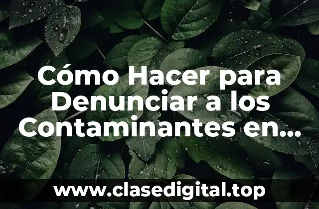Cómo Hacer para Denunciar a los Contaminantes en PY