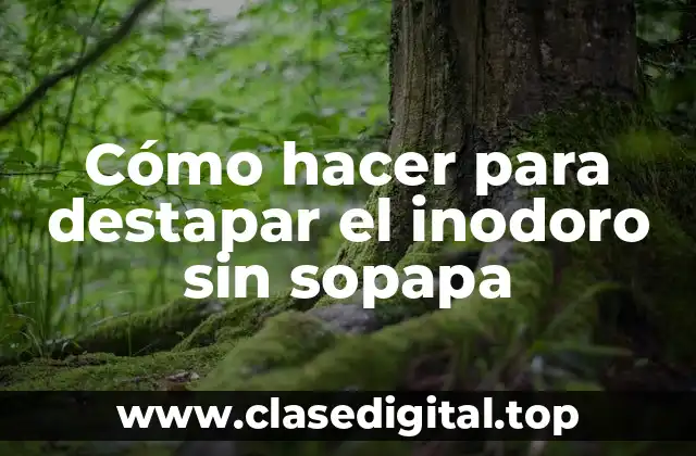 Cómo hacer para destapar el inodoro sin sopapa