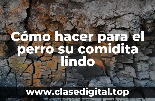 Cómo hacer para el perro su comidita lindo