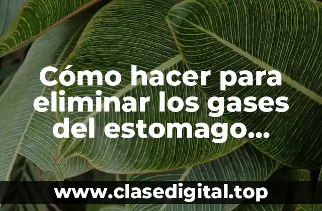 Cómo hacer para eliminar los gases del estomago naturalmente