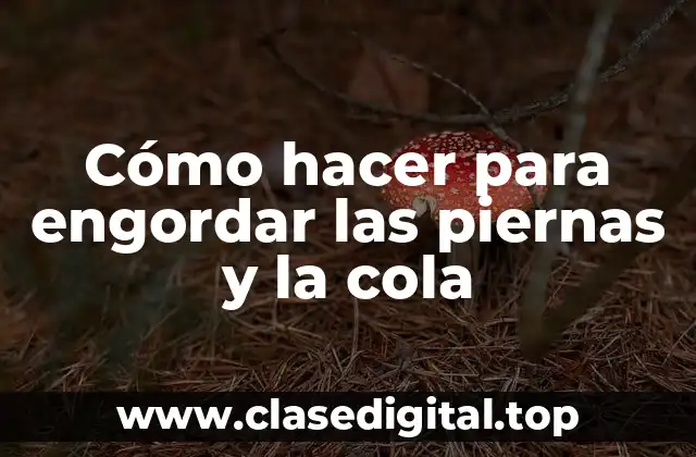 Cómo hacer para engordar las piernas y la cola