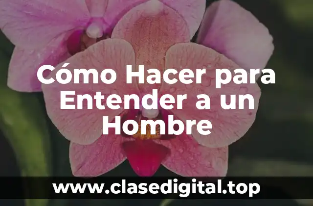 Cómo Hacer para Entender a un Hombre