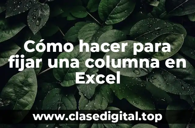 Cómo hacer para fijar una columna en Excel
