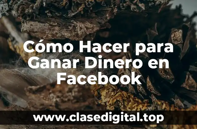 Cómo Hacer para Ganar Dinero en Facebook