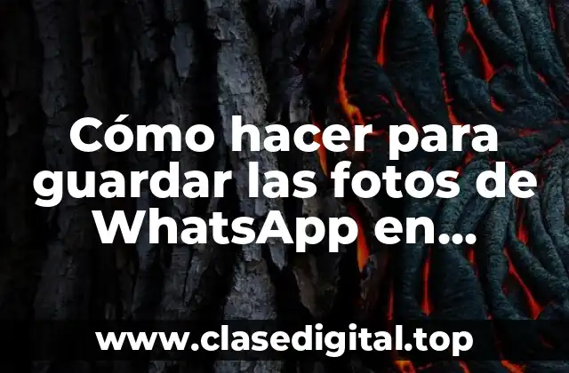 Cómo hacer para guardar las fotos de WhatsApp en galería