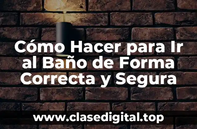 Cómo Hacer para Ir al Baño de Forma Correcta y Segura