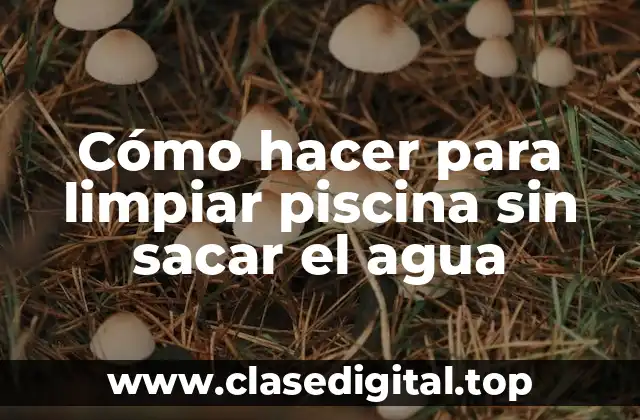 Cómo hacer para limpiar piscina sin sacar el agua