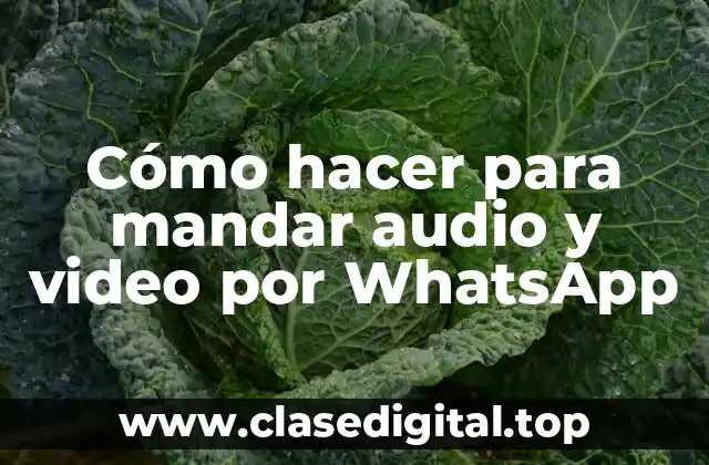 Cómo hacer para mandar audio y video por WhatsApp