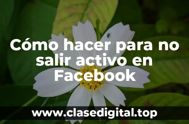 ¿Qué es el estado de activo en Facebook y para qué sirve?