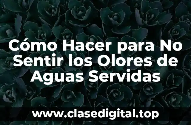 Cómo Hacer para No Sentir los Olores de Aguas Servidas