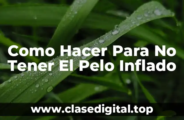 Como Hacer Para No Tener El Pelo Inflado
