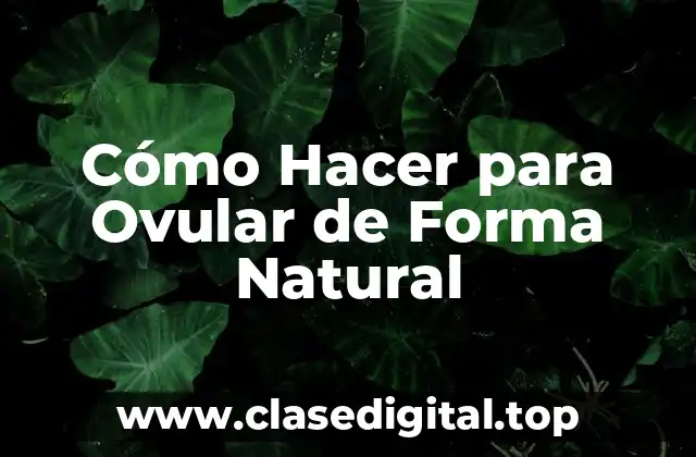 Cómo Hacer para Ovular de Forma Natural