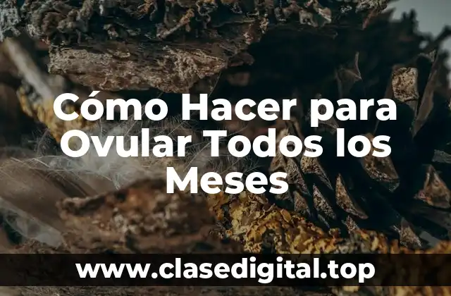 Cómo Hacer para Ovular Todos los Meses