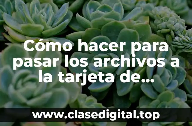 Cómo hacer para pasar los archivos a la tarjeta de memoria